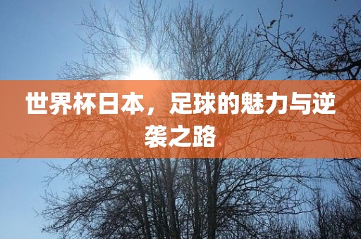 世界杯日本，足球的魅力与逆袭之路金炬实业股份有限公司