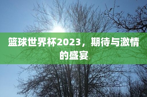 篮球世界杯2023，期待与激情的盛宴