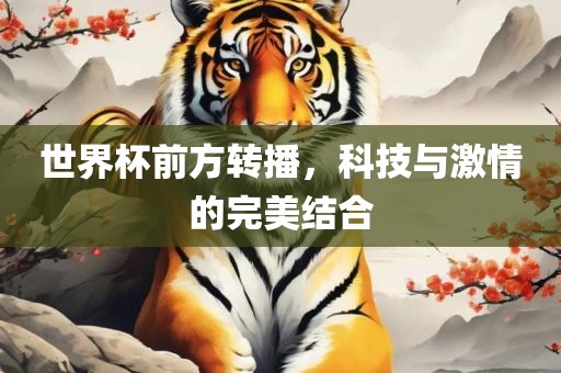 世界杯前方转播，科技与激情的完美结合