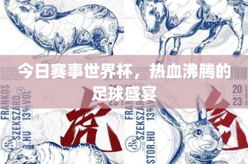 今日赛事世界杯，热血沸腾的足球盛宴