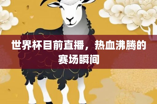 世界杯目前直播，热血沸腾的赛场瞬间