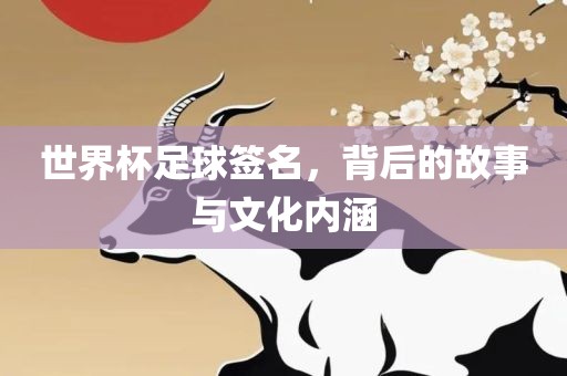 世界杯足球签名，背后的故事与文化内涵