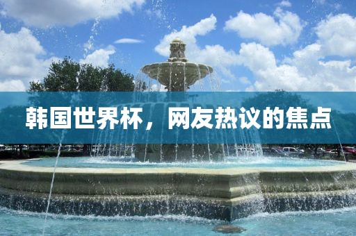 韩国世界杯，网友热议的焦点