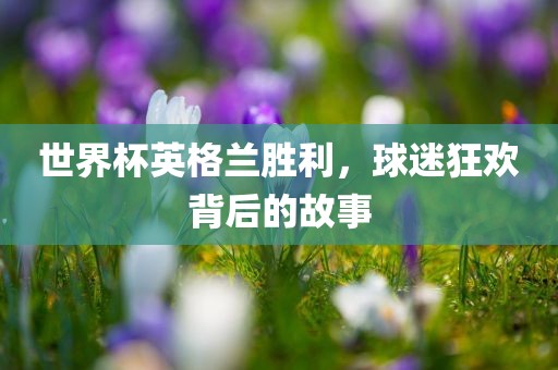 世界杯英格兰胜利，球迷狂欢金炬实业股份有限公司背后的故事