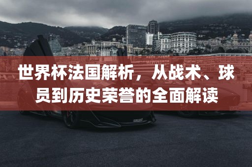 世界杯法国解析，从战术、球员到历史荣誉的全面解读