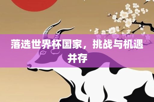 落选世界杯国家，挑战与机遇并存