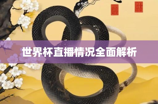 世界杯直播情况全面解析