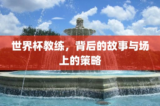 世界杯教练，背后的故事与场上的策略