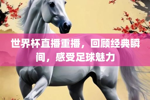 世界杯直播重播，回顾经典瞬间，感受足球魅力