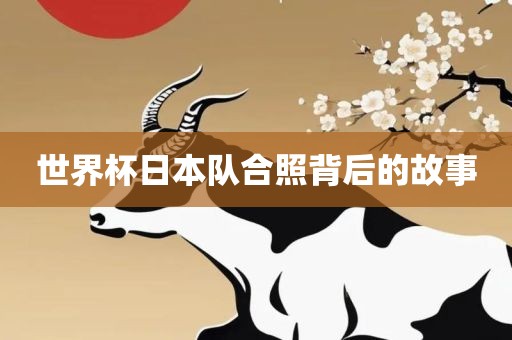 世界杯日本队合照背后的故事