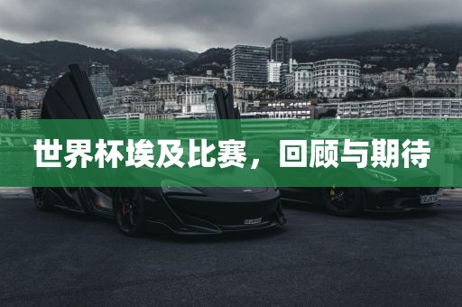 世界杯埃及比赛，回顾与期待金炬实业股份有限公司