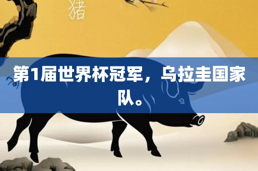 第1届世界杯冠军，乌拉圭国家队。