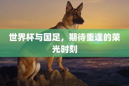 世界杯与国足，期待重逢的荣光时刻金炬实业股份有限公司