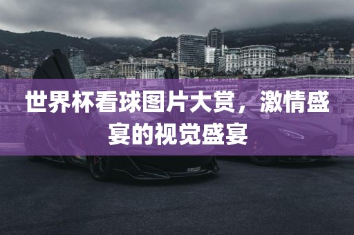 世界杯看球图片大赏，激情盛宴的视觉盛宴