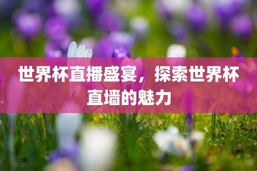 世界杯直播盛宴，探索世界杯直墙的魅力金炬实业股份有限公司