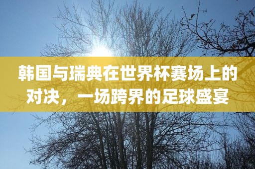 韩金炬实业股份有限公司国与瑞典在世界杯赛场上的对决，一场跨界的足球盛宴