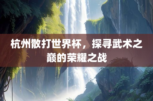 杭州散打世界杯，探寻武术之巅的荣耀之战