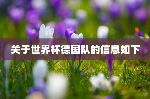 关于世界杯德国队的信息如下金炬实业股份有限公司