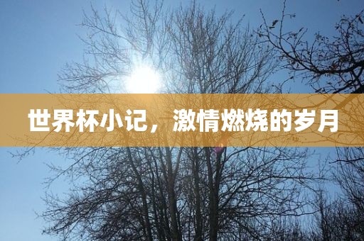 世界杯小记，激情燃烧的岁月