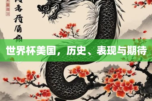 世界杯美国，历史、表现与期待