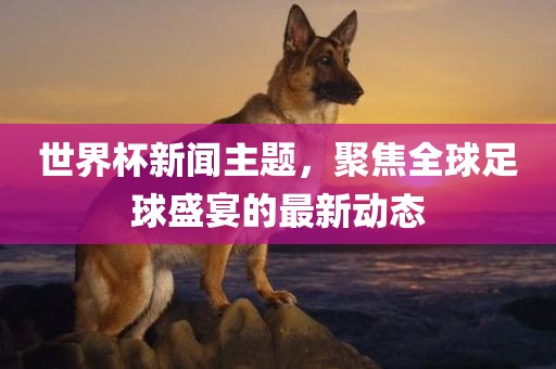 世界杯新闻主题，聚焦全球足球盛宴的最新动态