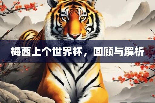 梅西上个世界杯，回顾与解析