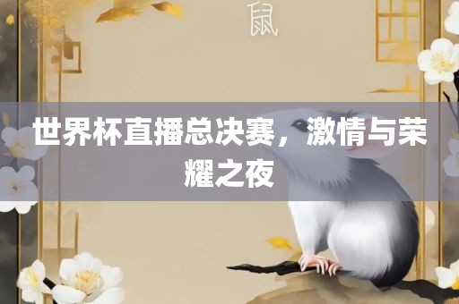 世界杯直播总决赛，激情与荣耀之夜金炬实业股份有限公司